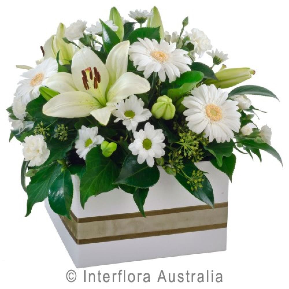 White Jewel