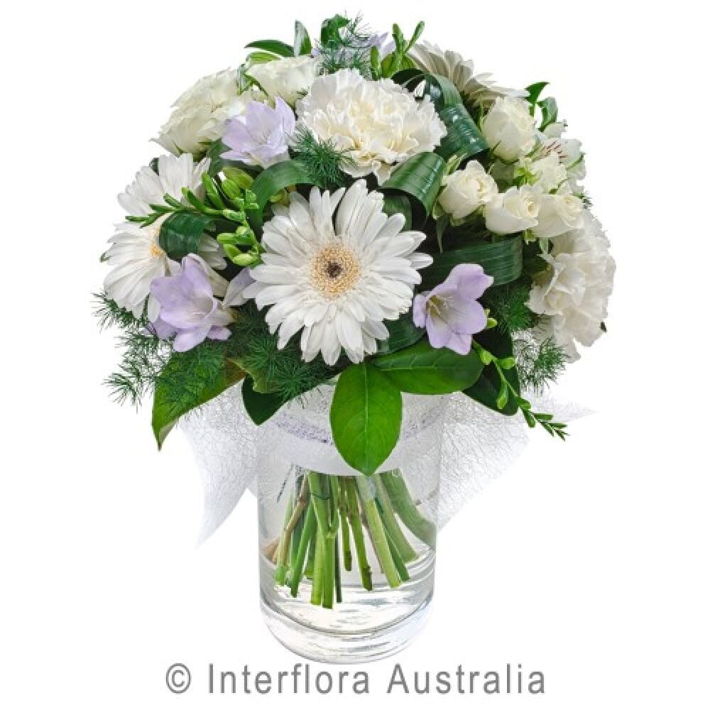 Perfect White Posy