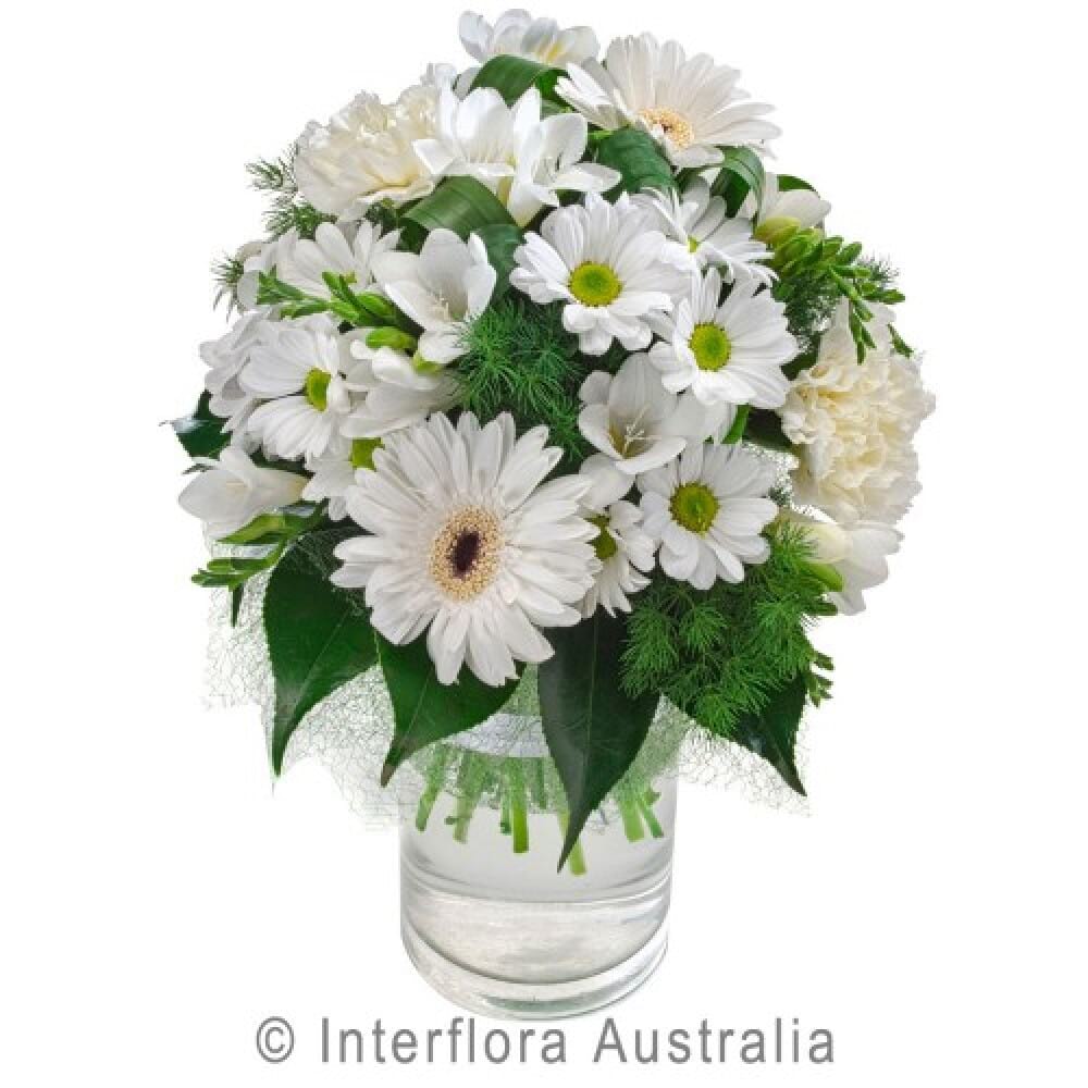 Cottage Posy White