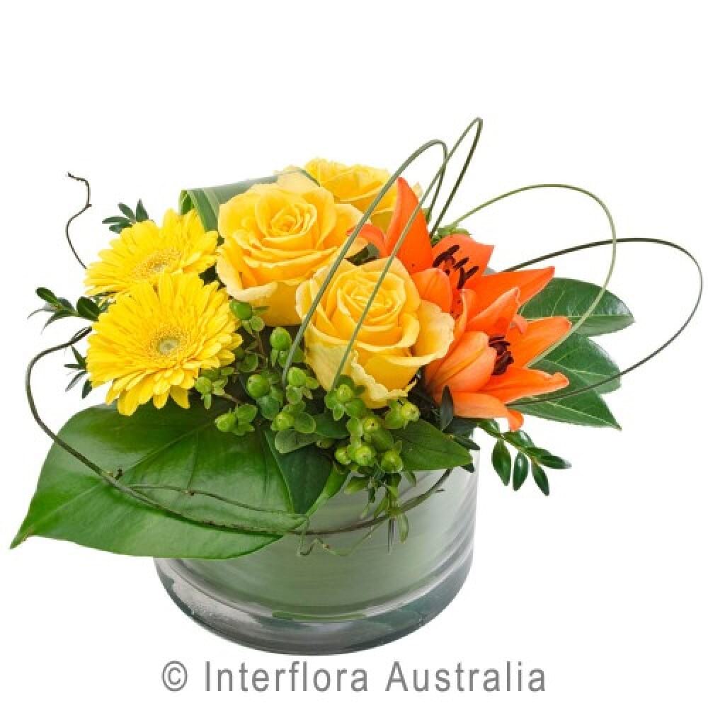 Citrus Delight