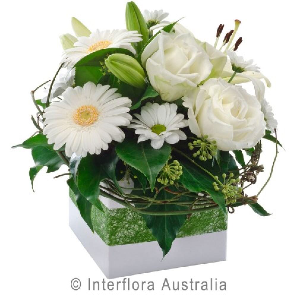 Petite Blooms White
