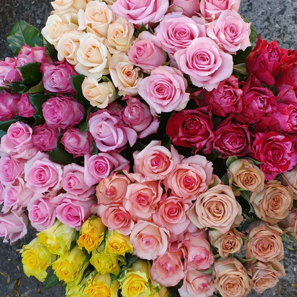 Locally Grown Roses