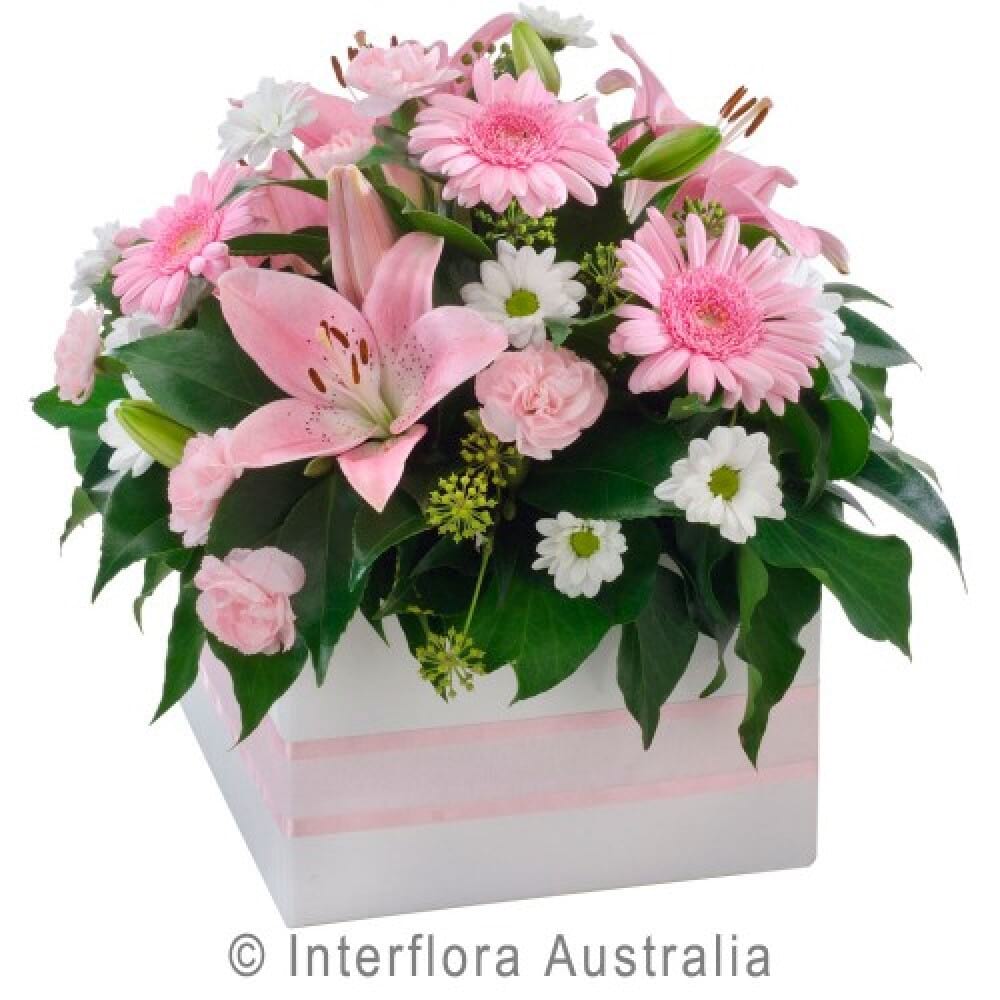 Pink Jewel