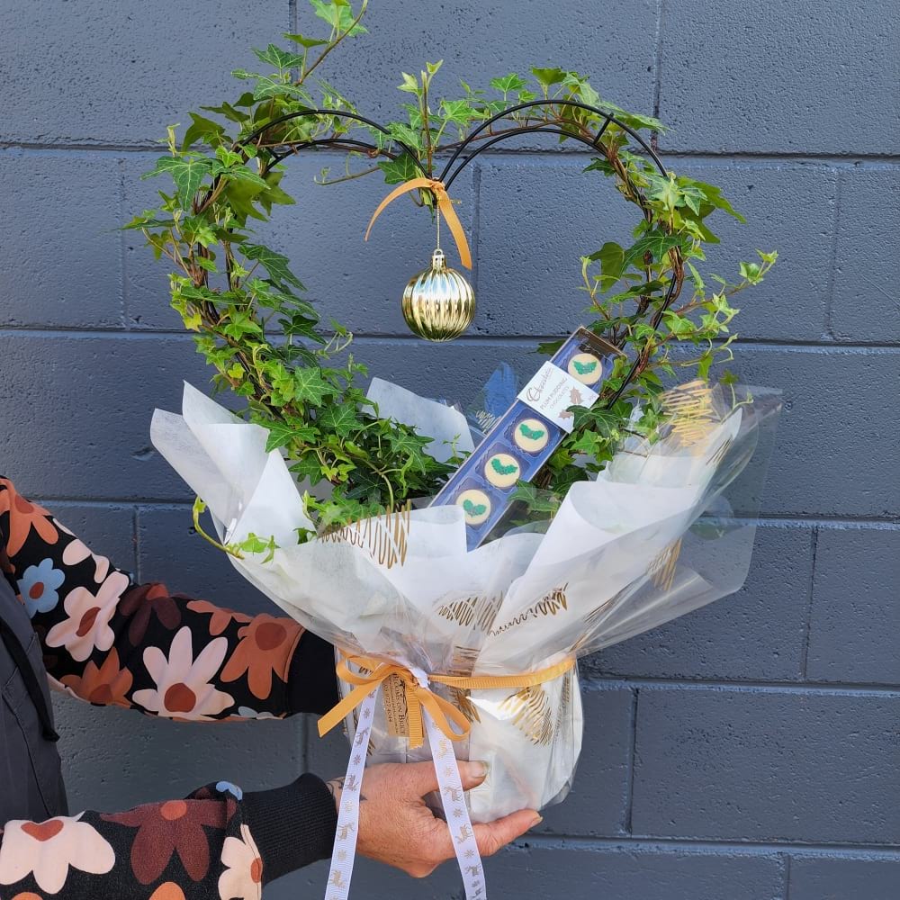 Living topiary Heart plant